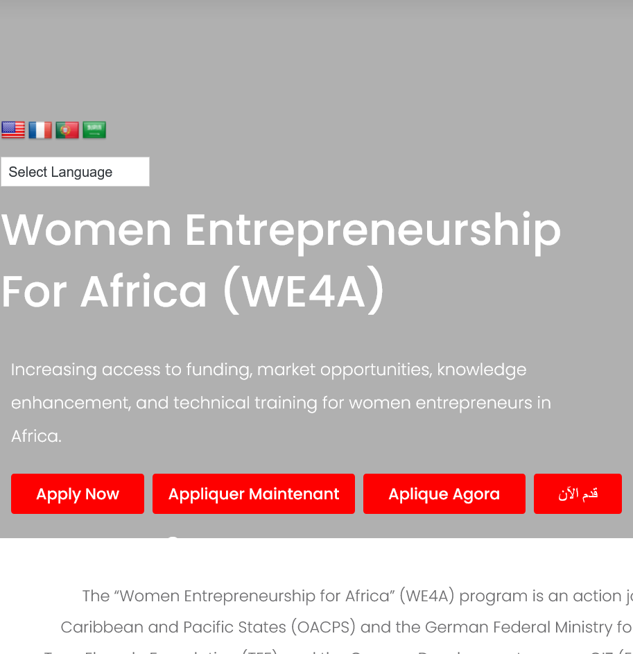 Apply for €10,000 of TEF Alumni Network Women Entrepreneurship for Africa (WE4A)