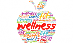 HEALTH AND WELLNESS BUSINESS PLAN IN NIGERIA