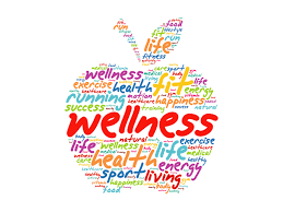 HEALTH AND WELLNESS BUSINESS PLAN IN NIGERIA