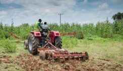 Farm Investments You Can Do in Nigeria