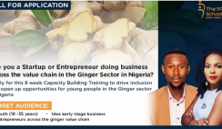 Apply to Be Among 30 Young Ginger Entrepreneurs that FATE Foundation will Train for Free on Ginger