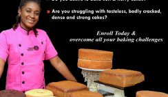 Discover Quick And Easy Steps On How To Become A Highly Paid Baker In As Little As 28 Days