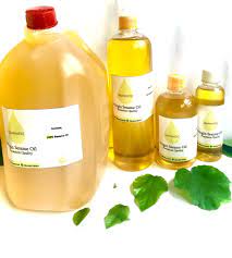 BENISEED OIL EXTRACTION BUSINESS PLAN IN NIGERIA 