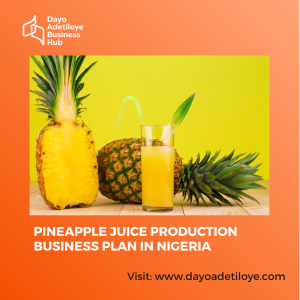 Pineapple Juice Production Business Plan in Nigeria