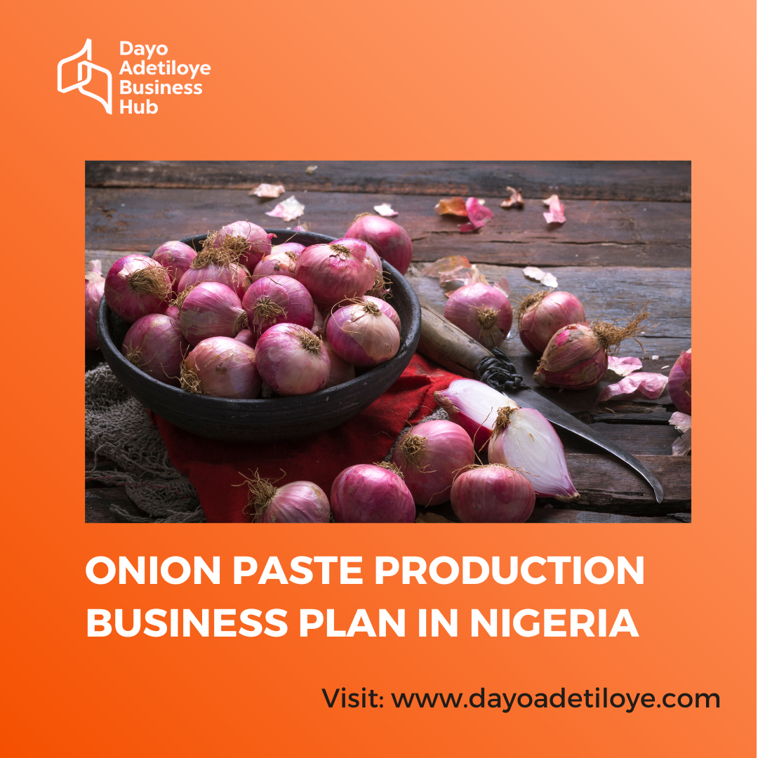 Onion Paste Production Business Plan in Nigeria