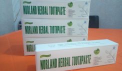 Norland Herbal Toothpaste: Solution to Tooth Ache and General Tooth Issues in Nigeria