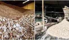 CASSAVA STARCH PRODUCTION BUSINESS PLAN IN NIGERIA