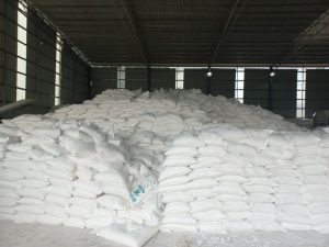 CASSAVA STARCH PRODUCTION BUSINESS PLAN IN NIGERIA 