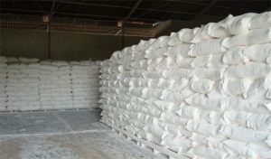 CASSAVA STARCH PRODUCTION BUSINESS PLAN IN NIGERIA 