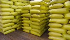 BEAN FLOUR BUSINESS PLAN IN NIGERIA