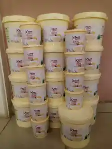 CUSTARD PRODUCTION BUSINESS PLAN IN NIGERIA
