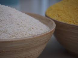 Garri Processing Business Plan in Nigeria