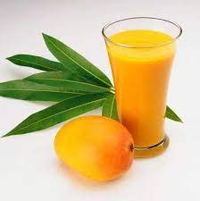 Mango Juice Production Business Plan in Nigeria