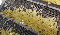 Frozen Yam Chips (French Fries) Production Business Plan in Nigeria