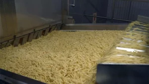 Frozen Yam Chips (French Fries) Production Business Plan in Nigeria