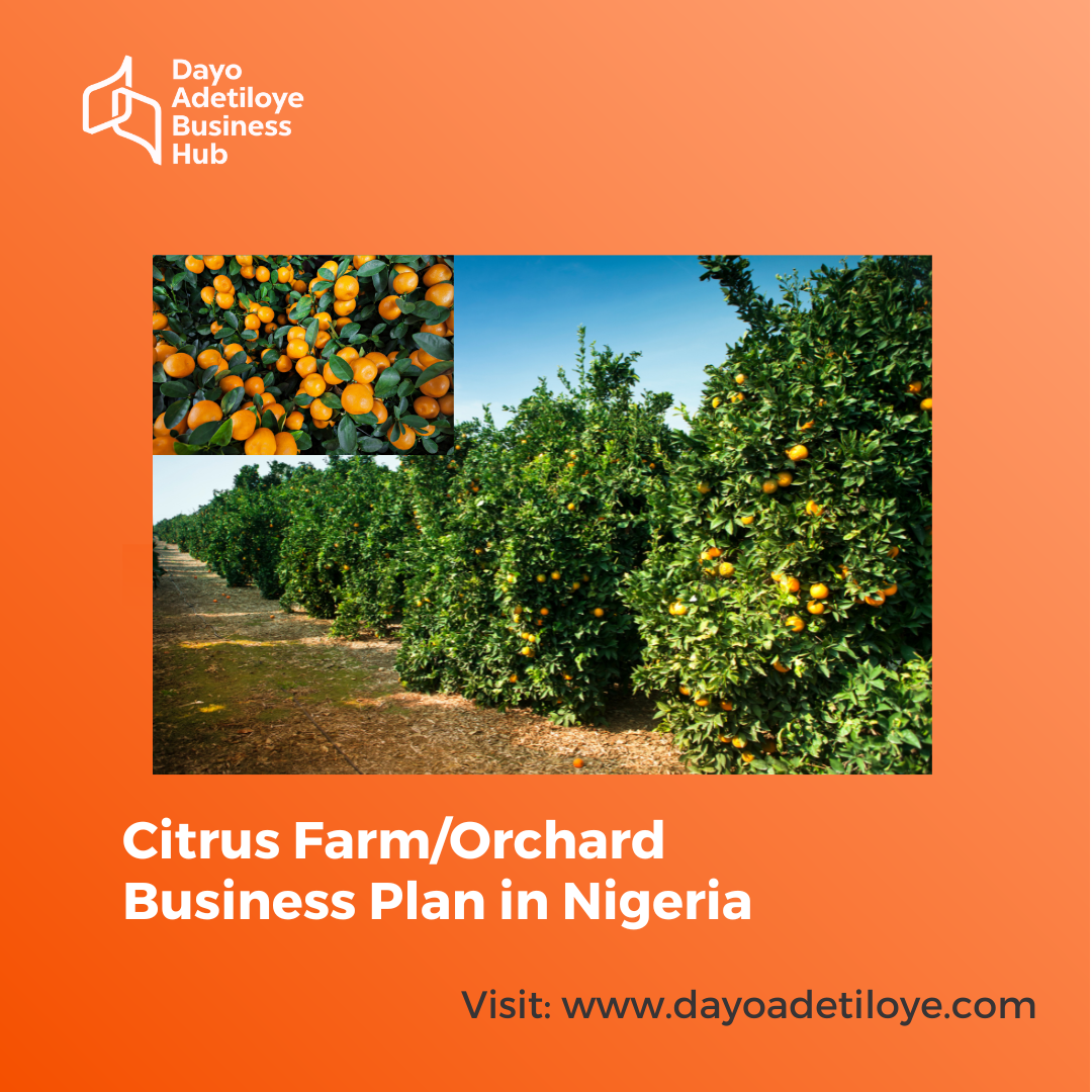 Citrus Farm/Orchard Business Plan in Nigeria