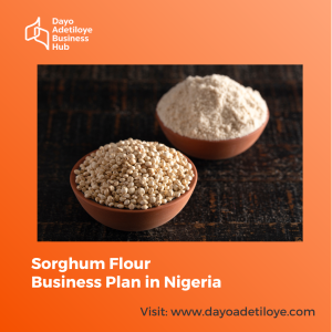 Sorghum Flour Business Plan in Nigeria
