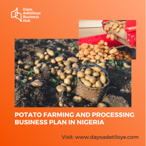 POTATO FARMING AND PROCESSING BUSINESS PLAN IN NIGERIA