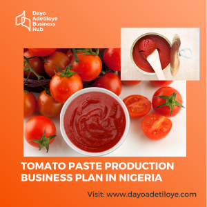 TOMATO PASTE PRODUCTION BUSINESS PLAN IN NIGERIA