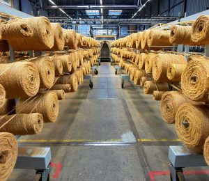 Coconut Fiber Mat and Carpet Production BUSINESS PLAN IN NIGERIA