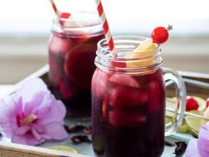 Zobo Drink Production and Preservation Business plan in Nigeria
