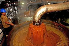 PALM OIL EXTRACTION AND PROCESSING BUSINESS PLAN IN NIGERIA
