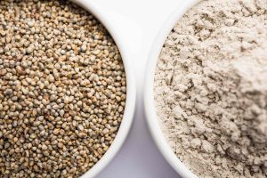 SORGHUM FLOUR BUSINESS PLAN IN NIGERIA