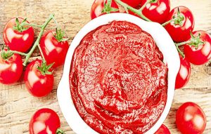 TOMATO PASTE PRODUCTION BUSINESS PLAN IN NIGERIA