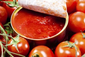TOMATO PASTE PRODUCTION BUSINESS PLAN IN NIGERIA
