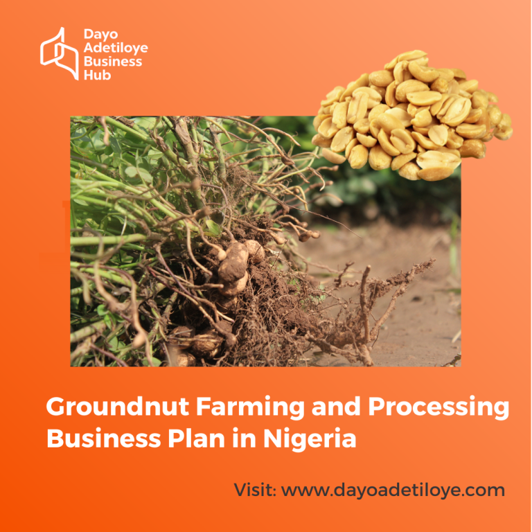 Groundnut Farming and Processing Business Plan in Nigeria