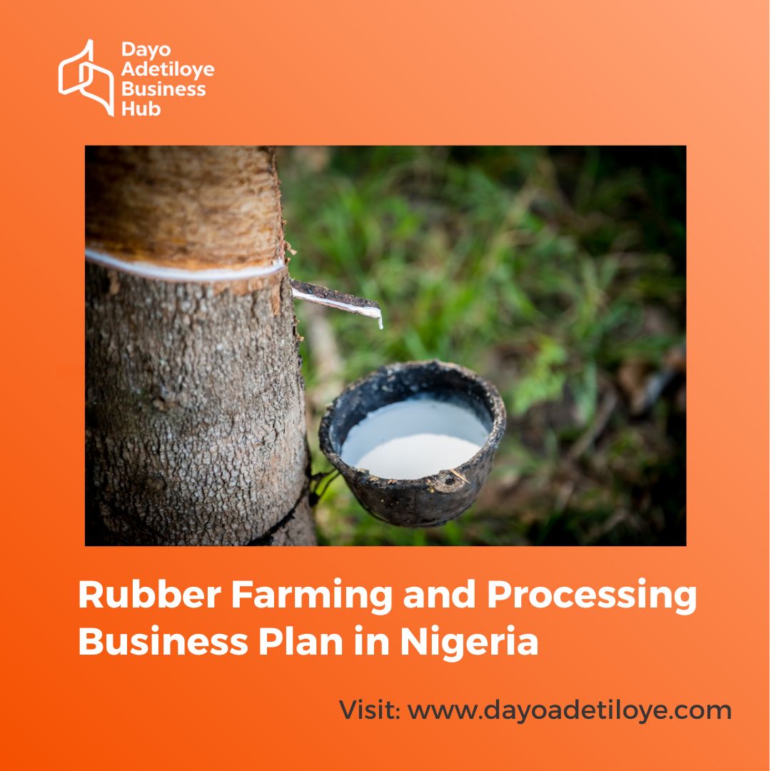 Rubber Farming and Processing Business Plan in Nigeria