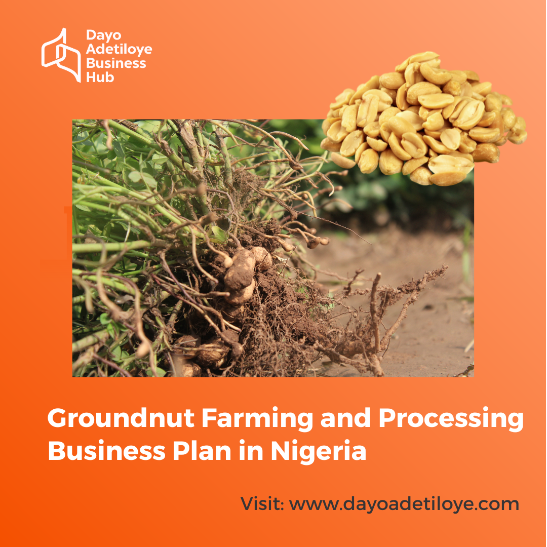 business plan on groundnut farming