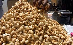 EDIBLE CASHEW KERNEL PRODUCTION BUSINESS PLAN IN NIGERIA