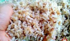HISTORY AND CULTURAL SIGNIFICANCE OF OFADA RICE