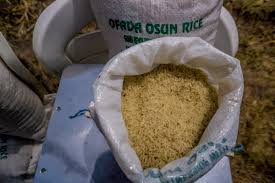 How to start ofada rice business with 50kg of ofada rice