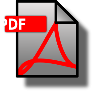 PDF to Word: How to Convert a Large File