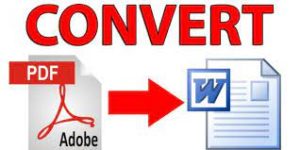 PDF to Word: How to Convert a Large File