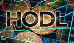 The Art of HODLing – Long-Term Investment Strategies for Crypto Assets