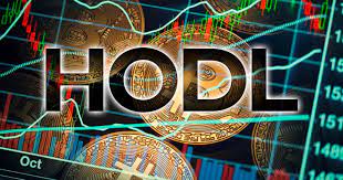 The Art of HODLing - Long-Term Investment Strategies for Crypto Assets