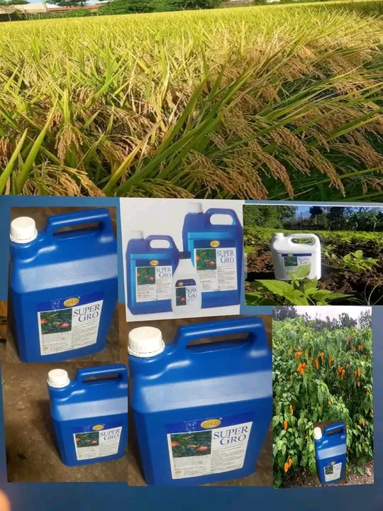 Revolutionize Your Farming with Super Gro Liquid Organic Fertilizer