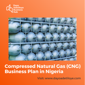 COMPRESSED NATURAL GAS (CNG) BUSINESS PLAN IN NIGERIA