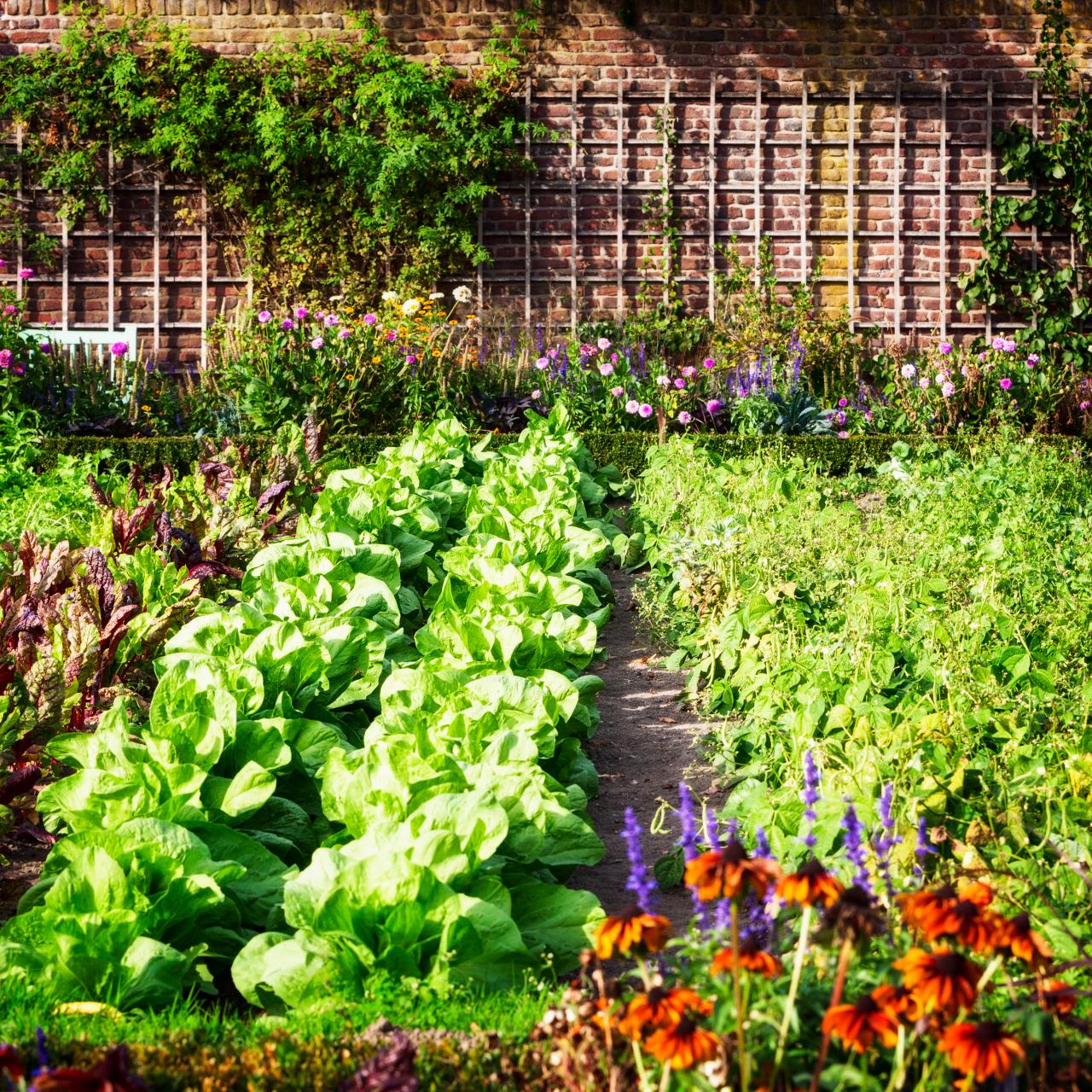 Top 5 Tips for Taking Care of Your Garden