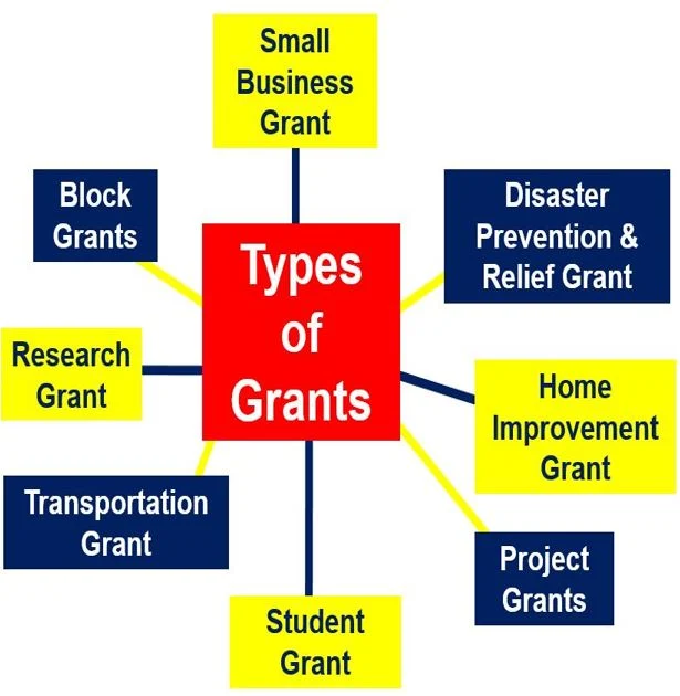 TOP 61 GRANTS, LOANS, INVESTMENTS, AND GLOBAL OPPORTUNITIES YOU CAN APPLY FOR IN 2024