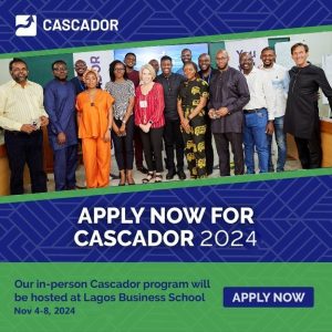 Cascador Accelerator 2024 for African Entrepreneurs