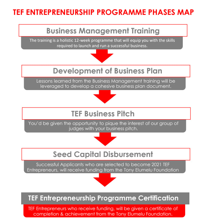 How to Write Business Plan / Financial Plan Template of Tony Elumelu Foundation