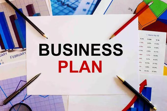 How to Write a Winning Business Plan for a Grant in Nigeria