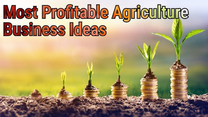 Agriculture Business Ideas in Nigeria You Can Start Today