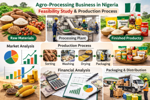 Feasibility Study for Agro-Processing Business in Nigeria