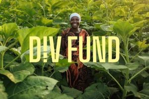Development Innovation Ventures (DIV) Fund 2026