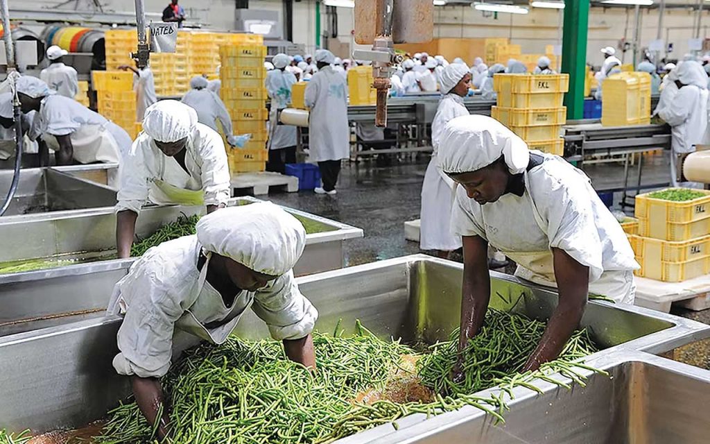 Top 5 High-Yield Sectors in West Africa Attracting Diaspora Capital Right Now
